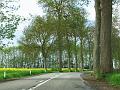 1st Belgian Octagon Tour - dag2 (37)